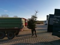 Christbaumaktion 2023